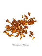 Czech Transparent Orange Spike Thorn Glass Beads 5x10 mm 30 Count